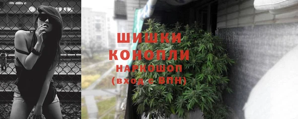 хмурый Богородицк