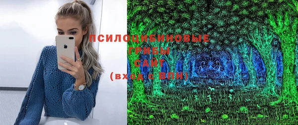 хмурый Богородицк