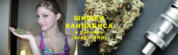хмурый Богородицк