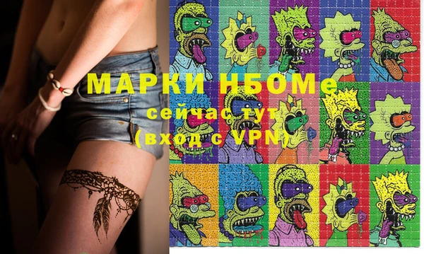 хмурый Богородицк