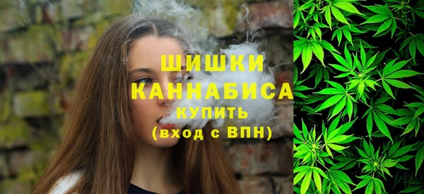 хмурый Богородицк